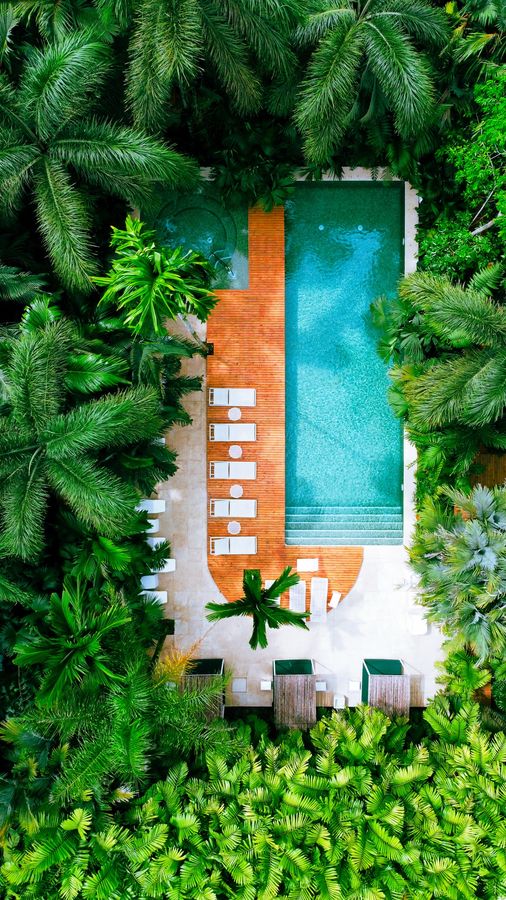 Piscina entre palmeras vista desde un dron